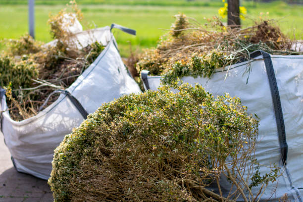 Trash Removal Near Me in Wellsville, OH